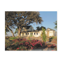 Veris Tasting Room in Templeton, CA Post Card
