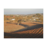 Veris Vineyard in January postcards