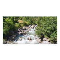 Vermigliana stream, Trentino, Italy Customized Photo Card