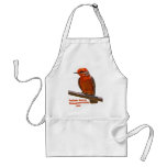 Vermilion Flycatcher Apron