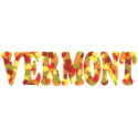 Vermont Autumn Bumper Sticker bumpersticker