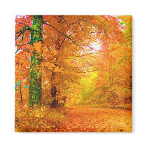 Vermont Autumn magnets by photographyvicky Vermont Autumn magnets