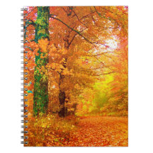 Vermont Autumn Notebook