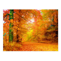 Vermont Autumn Post Card