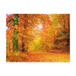 Vermont Autumn