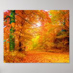 Vermont Autumn Poster