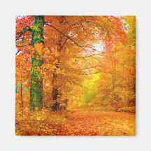 Vermont Autumn Refrigerator Magnets