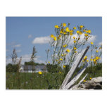 Vermont Country Living Post Cards