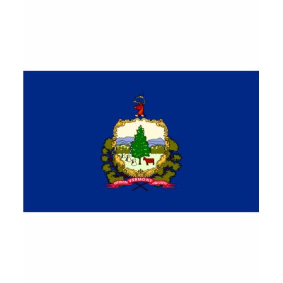 Vermont FLAG International T-shirt by flagshirt