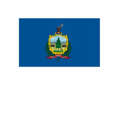 Vermont Flag T-shirt by FlagTshirts