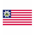 Vermont Flag T-Shirts (1837-1923)