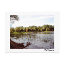 Vermont Lake Front postcards