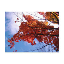 Vermont Postcard 1 by stormchaos Vermont Postcard 1