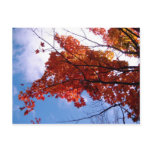 Vermont Postcard 1