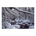 Vermont Snowy Brook posters by marycota Vermont Snowy Brook posters