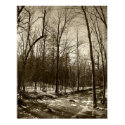 Vermont Winter posters by cvila013 Vermont Winter posters