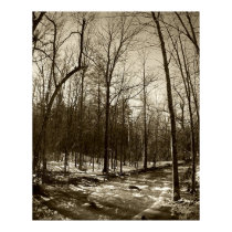 Vermont Winter posters