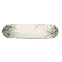 Vernal Equinox skateboards
