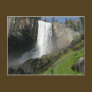 Vernal Falls I Postcard