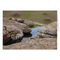 Vernal Pool cards by philmatt Vernal Pool cards