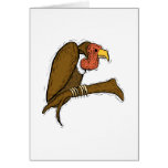 Vernon Vulture Card