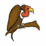 Vernon Vulture Acrylic Cut Out