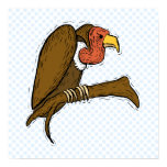 Vernon Vulture Print