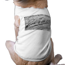 Vernors Wall - Ann Arbor, Michigan pet clothing by scenesfromthepast Vernors Wall - Ann Arbor, Michigan pet clothing