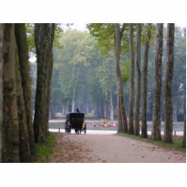 Versailles Buggy Photo Cutout