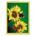 Verse - Butterflies of Summer 2 cards by Spice Verse - Butterflies of Summer 2 cards
