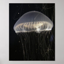 Vertical Canvas Print: Crystal Jelly