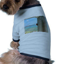 Vertical Ladybug pet clothing by lifesphere Vertical Ladybug pet clothing