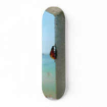 Vertical Ladybug skateboards