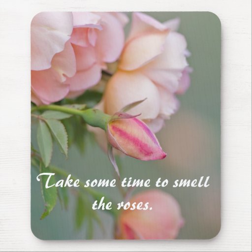 Pink Roses Quotes. QuotesGram