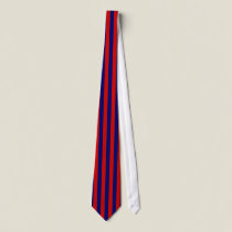 Vertical Striped Blue and Red Tie