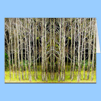 VERTICAL VISION cards