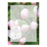 Very beautiful spring, summer pink apple flowers. personalized announcement