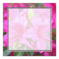 Very beautiful spring, summer pink azalea flower. custom invitation