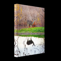 Very Deer Reflection canvas wrap canvas prints