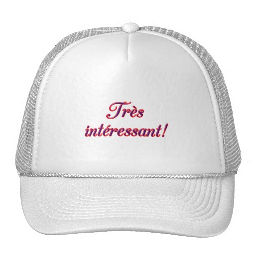 Very Interesting Mesh Hat