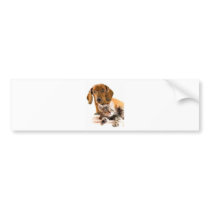 Very nice and cute. bumper sticker