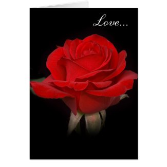 Very Red Rose Card