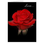 Very Red Rose "Love" Card