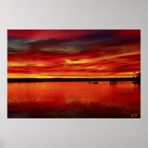 Very Still photo by  JLH poster