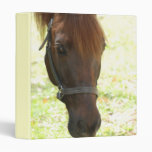 Very Sweet Chestnut Horse Binder