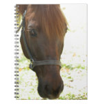 Very Sweet Chestnut Horse Spiral Note Books