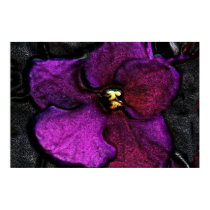 Very Violet Violet