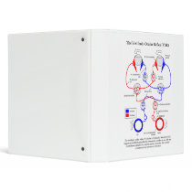 Vestibulo Ocular Reflex VOR Eye Movement Stabilize 3 Ring Binder