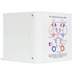 Vestibulo Ocular Reflex VOR Eye Movement Stabilize binders