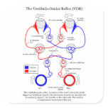 Vestibulo Ocular Reflex VOR Eye Movement Stabilize Stickers
